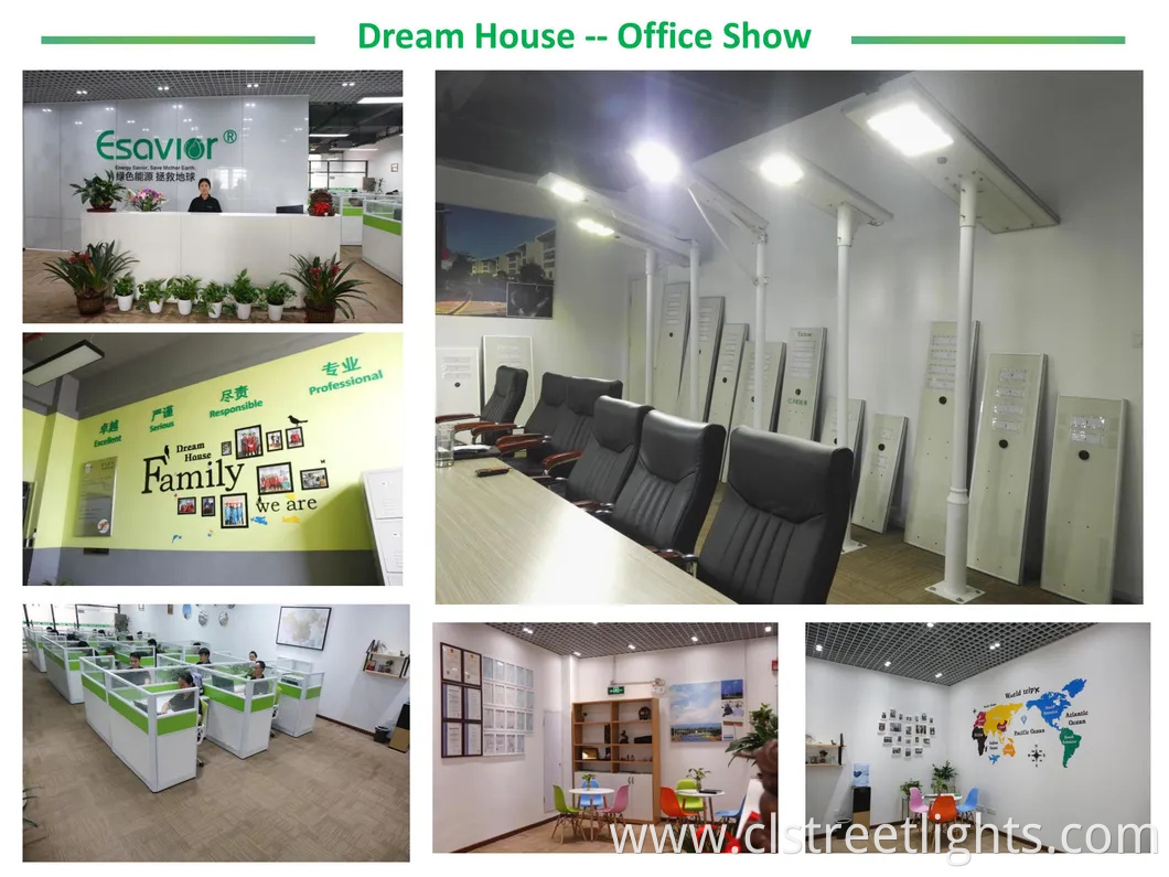 Newest LED Solar Garden/Wall Street Light Outdoor Solar Sunflower Light with High-Quality Metal Casings